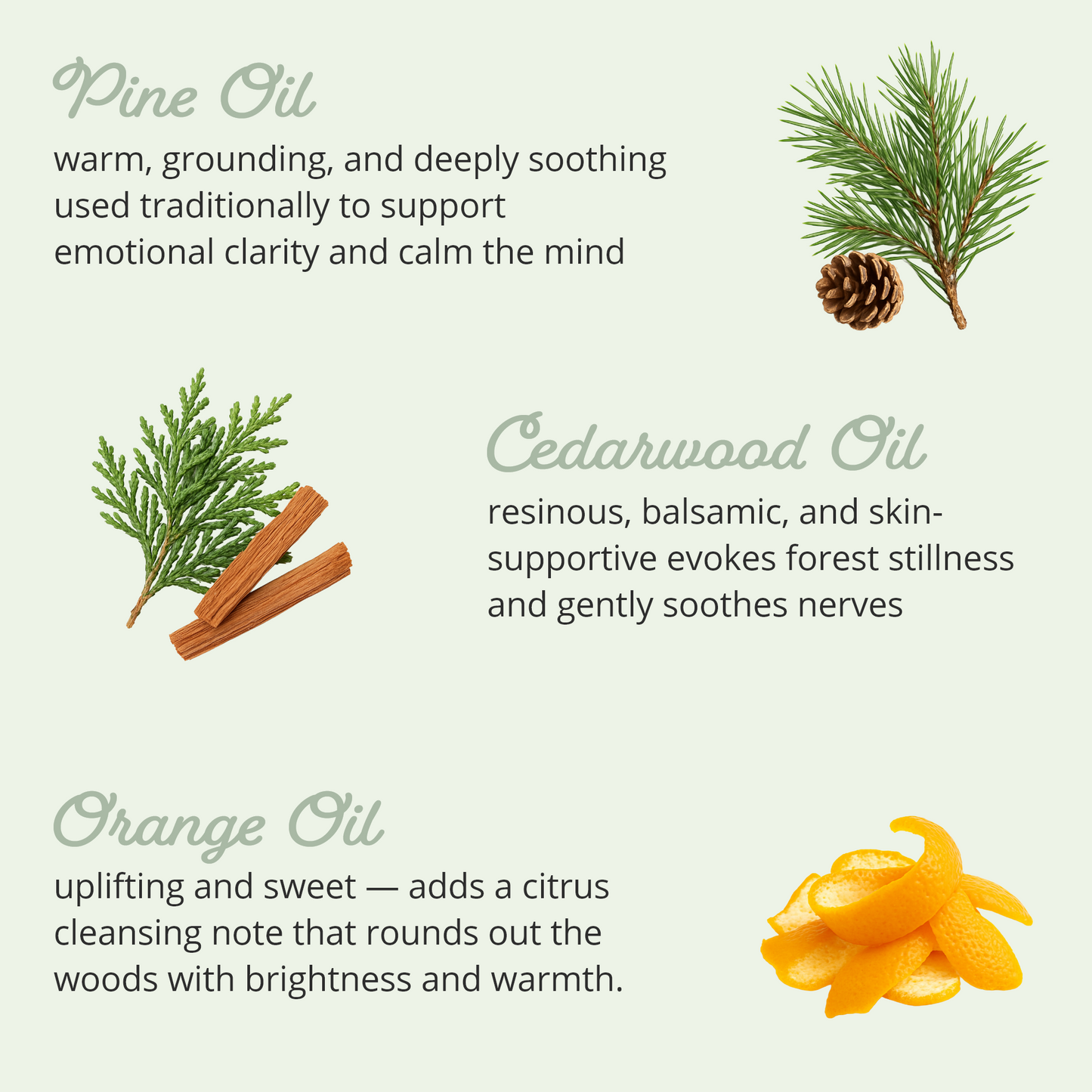 Woodland Scented Balm