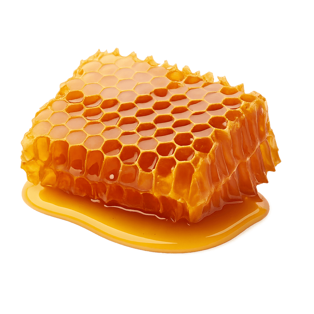 A close-up image of a golden honeycomb dripping with fresh honey.